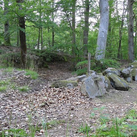 Unique Rustic Property In Skane Linderod Exteriör bild